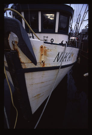 Alaska Ship