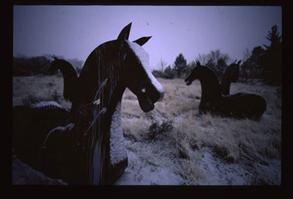 Fake Horses