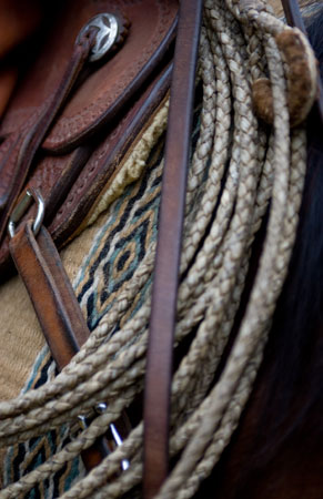 Saddle