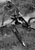 mtbike2