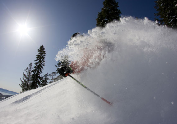 powder